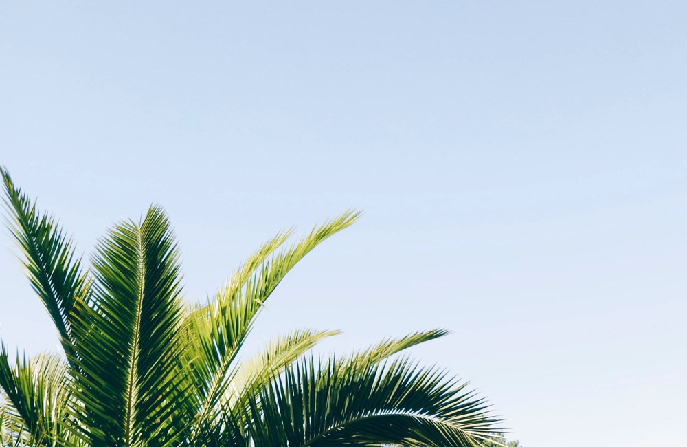 Decorate For Less With Art Posters